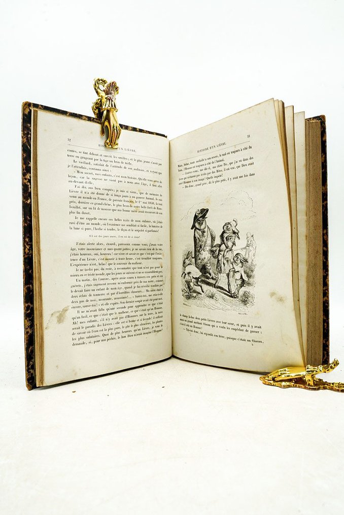 J. J. Grandville - Vie privée et publique des animaux - 1867 #4.3