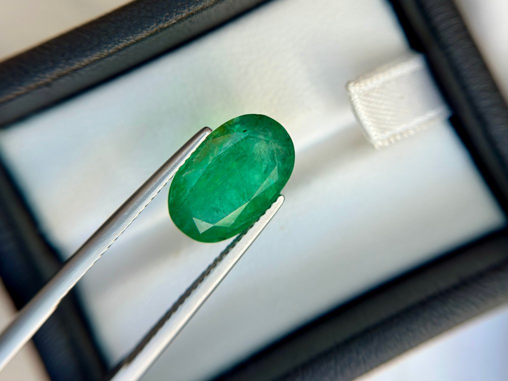 Nincs minimálár - 1 pcs  Zöld Smaragd  - 6.10 ct - Bellerophon Gemlab - Csak ritka kisebb olaj #3.2