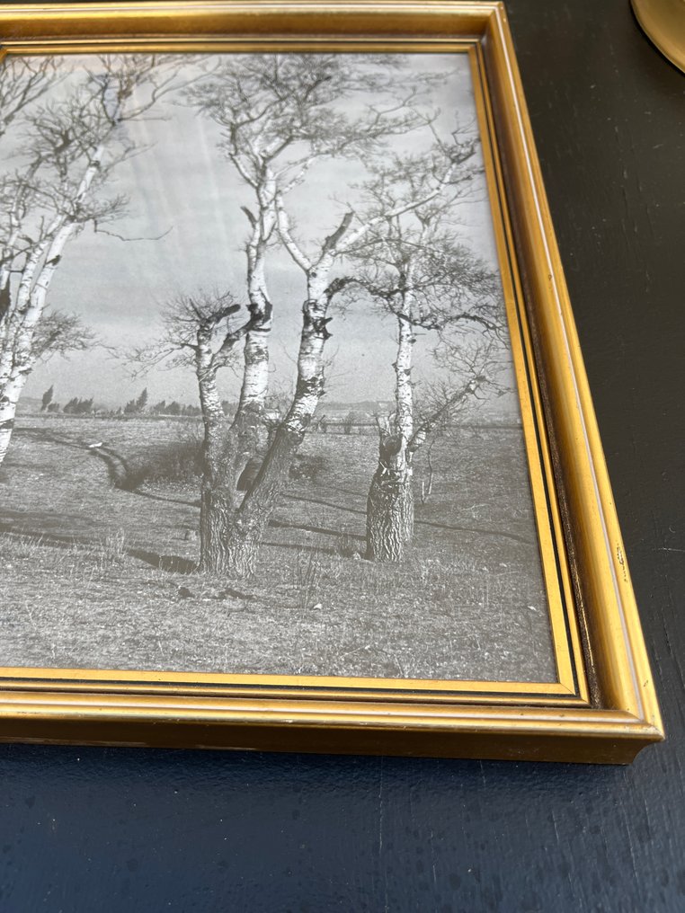 Ramă (7)  - Lemn, Plastic #1.0