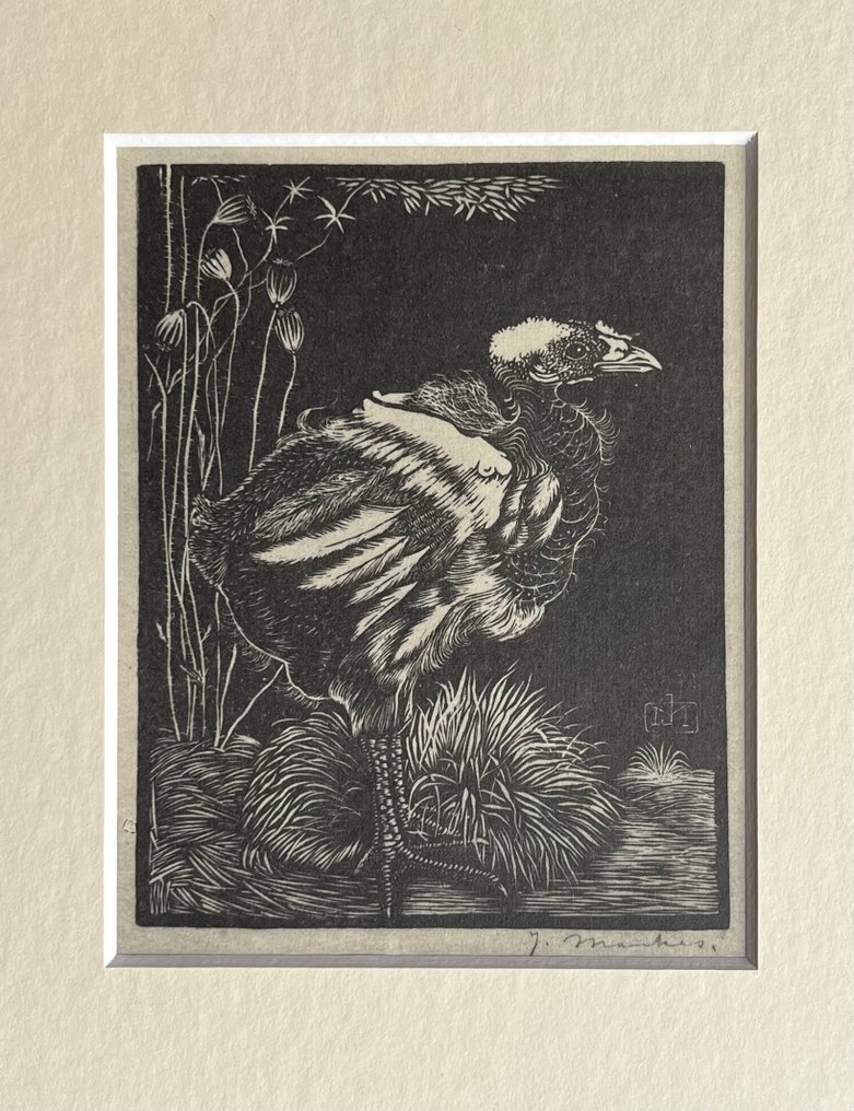 Jan Mankes (1889-1920) - Nestkuiken #2.1