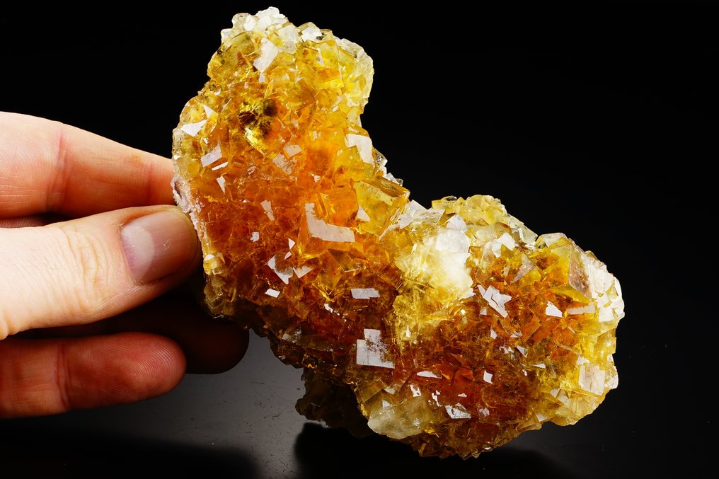 470 g fluoresoivaa Golden Sparkle Fluoritea, jossa on pyriitti-insertioita. Intensiivinen keltainen suuri klusteri - TOP - Korkeus: 11.3 cm - Leveys: 7.1 cm- 470 g #1.0