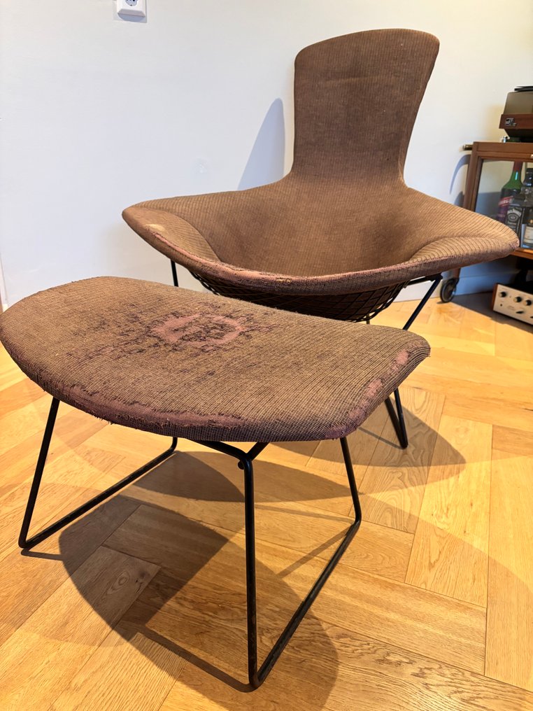 Knoll - Harry Bertoia - Sedia - Sedia Bird - Acciaio - Knoll Harry Bertoia Bird #1.0