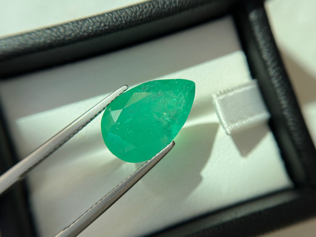 没有保留价 - 1 pcs  绿色 祖母绿  - 8.36 ct - Bellerophon 宝石实验室 - 哥伦比亚天然翡翠 #2.1