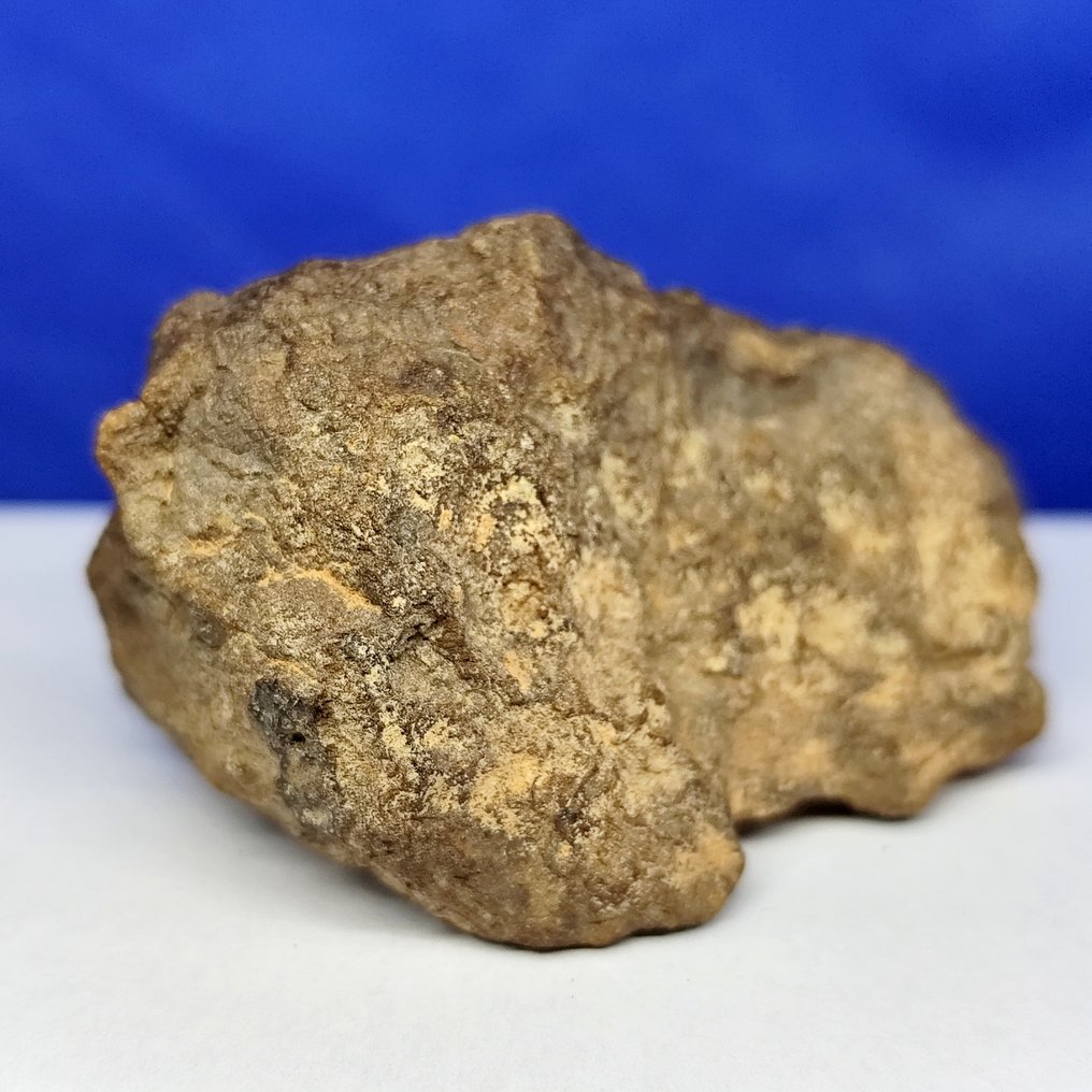 Enstatite chondrite!!! Coming from Mercury's orbit! Meteorite Al Haggounia 001, "EL4-7". - 94.5 g #2.1