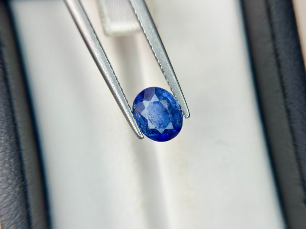 沒有保留價 - 1 pcs 藍色 藍寶石 - 1.75 ct - Bellerophon Gemlab - 锡兰蓝宝石 #3.2