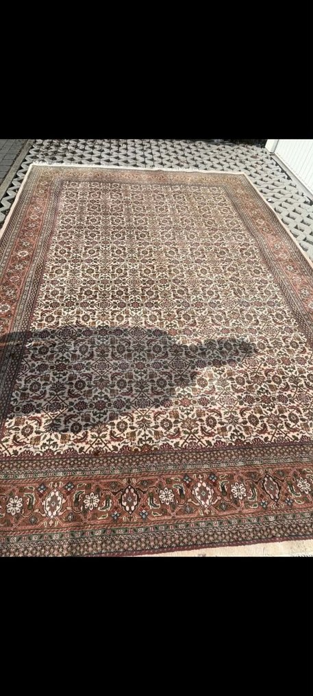 Bidjar - Tæppe - 350 cm - 240 cm #1.0