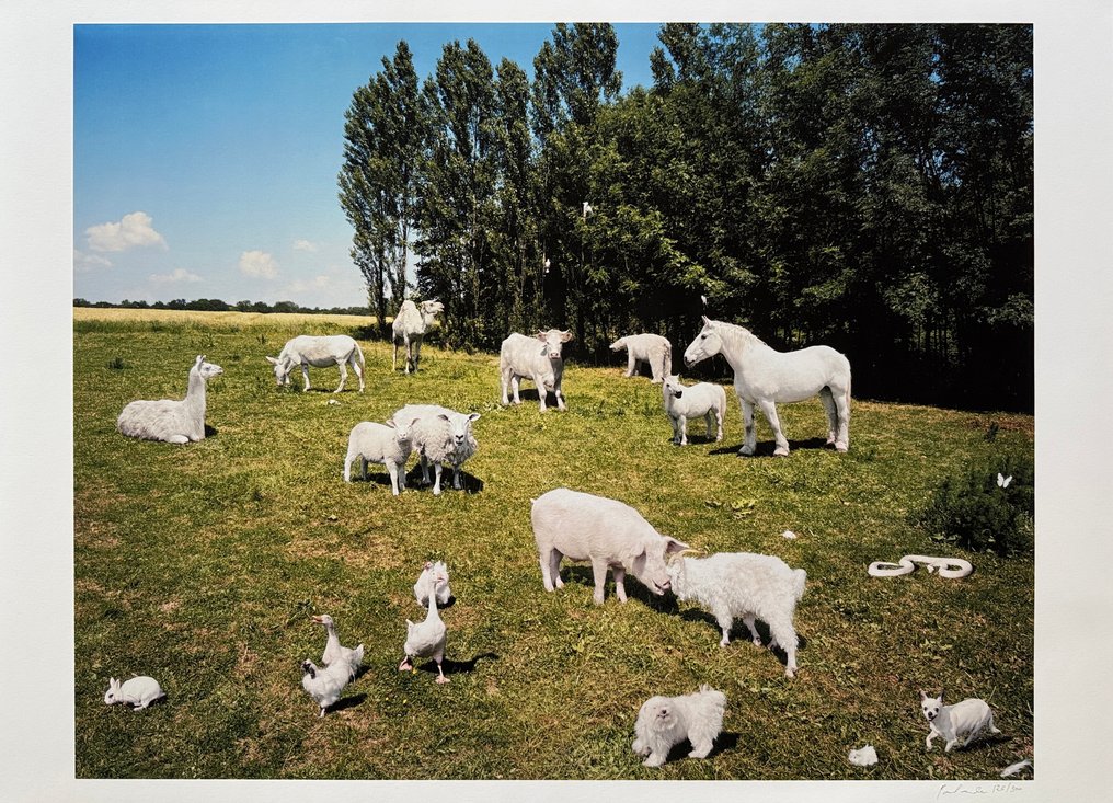 Paola Pivi (1971) - One love, 2007 #1.0