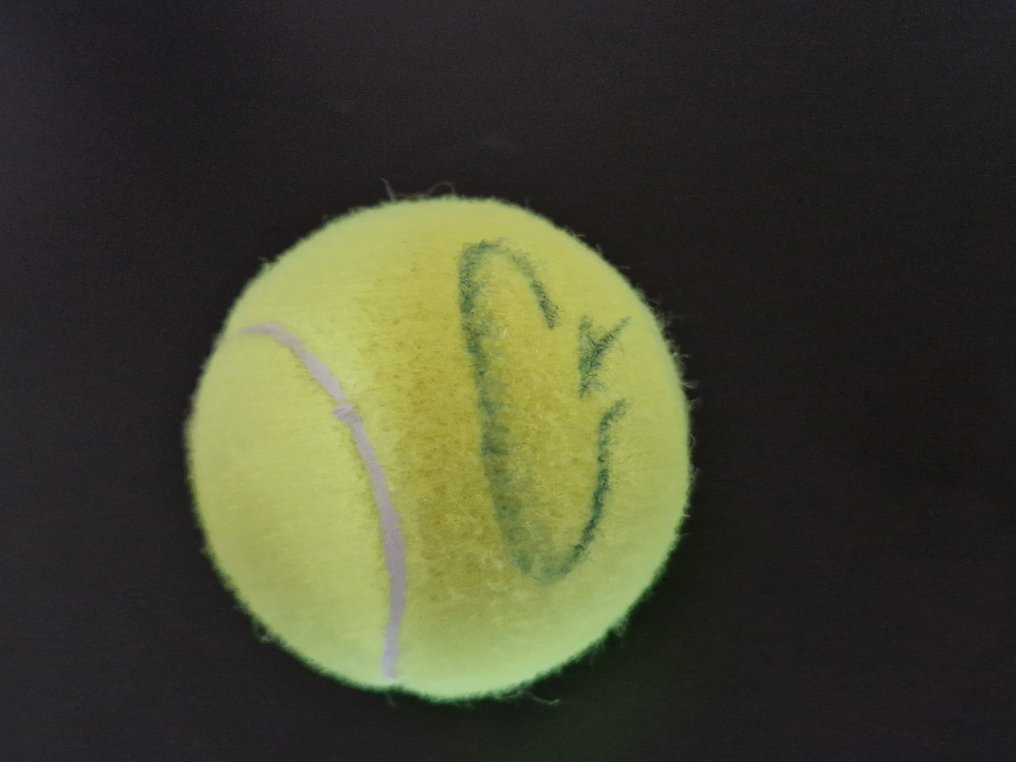 Wimbledon UK - Carlos Alcaraz - Tennispallo #2.1