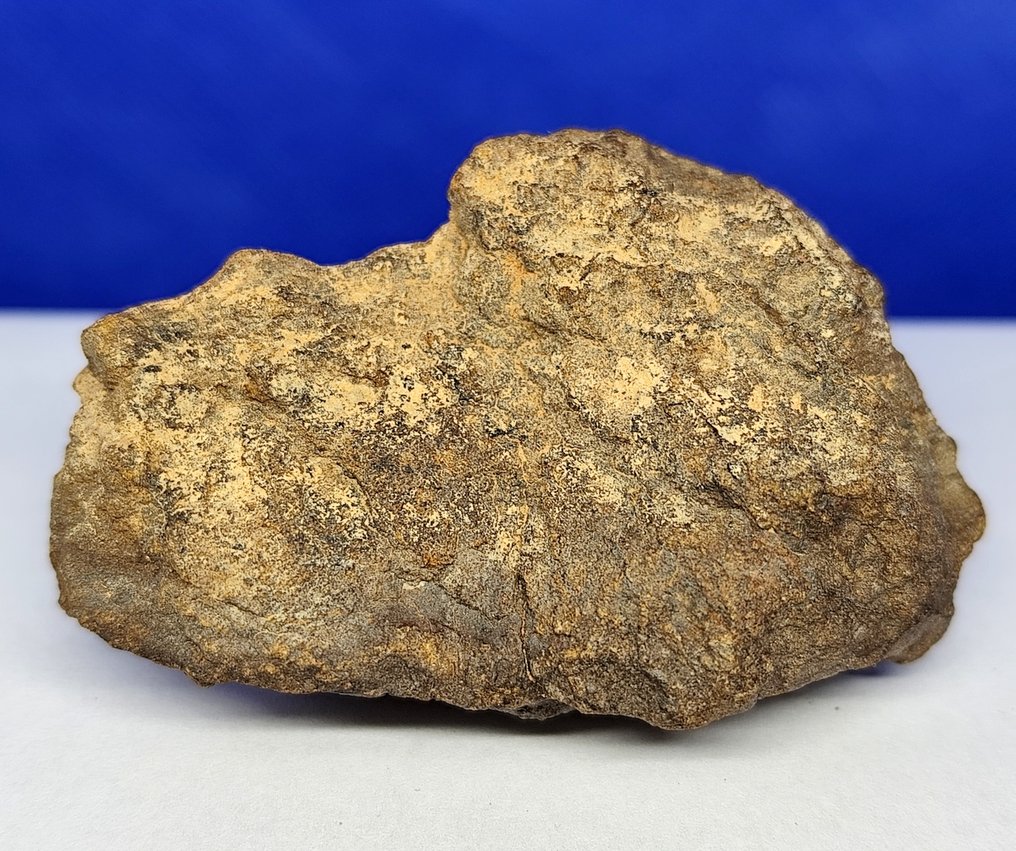 Enstatite chondrite!!! Coming from Mercury's orbit! Meteorite Al Haggounia 001, "EL4-7". - 94.5 g #4.3