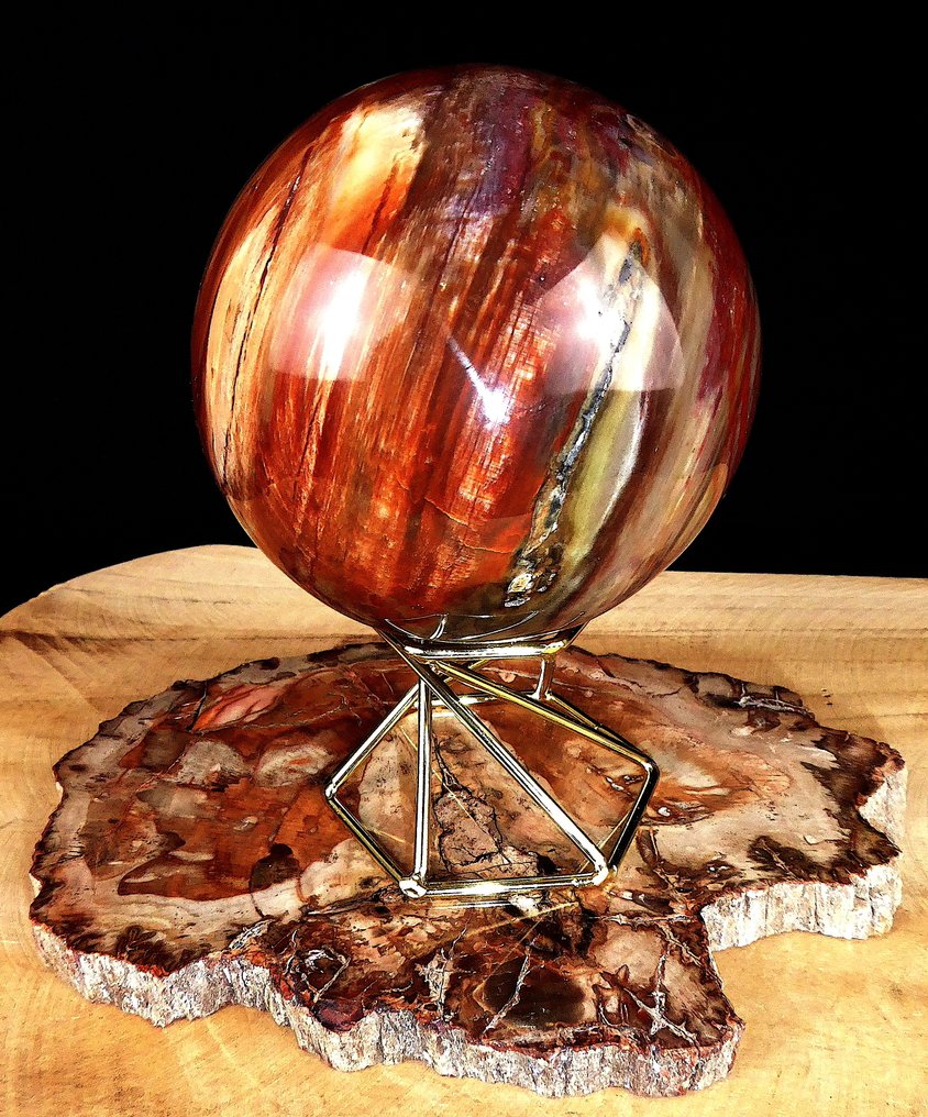 Fossilt trä - Fossiliserat trä - Araucaria - 15.5 cm - 11.5 cm (Utan reservationspris) #2.1