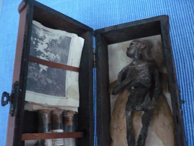 Fee Fairy di Cottingley Supporto replica tassidermia - mediocris - 7 cm - 18 cm - 9 cm #3.2