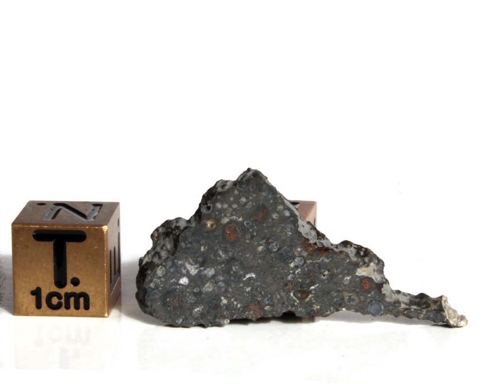 Schnitt eines seltenen CV3 Like Allende NWA 16991. Kohlenstoffhaltiger Chondritmeteorit - 1.84 g - (1) #1.0