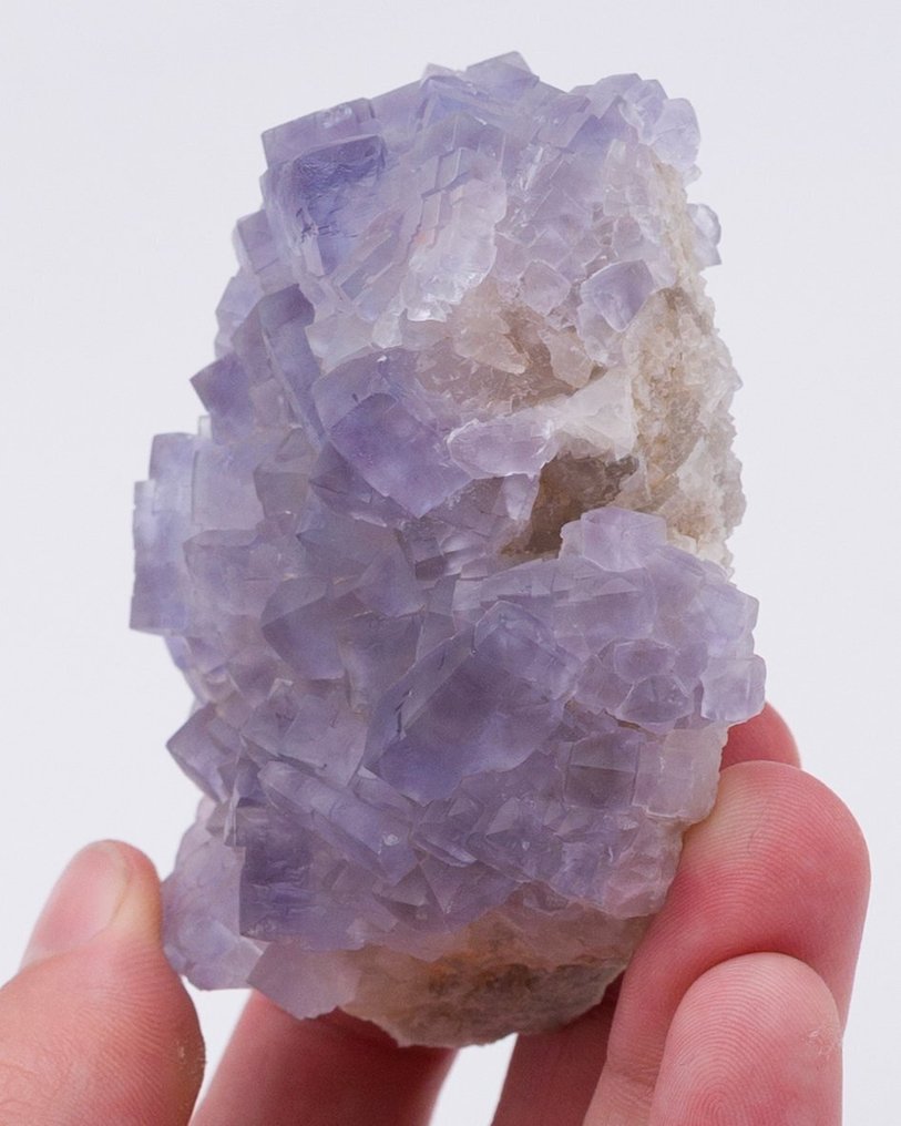 Kłębek niebieskiego fluorytu z charakterystycznym zaokrąglonym habit. - Wysokość: 4.7 cm - Szerokość: 6.6 cm- 119 g - (1) #2.1