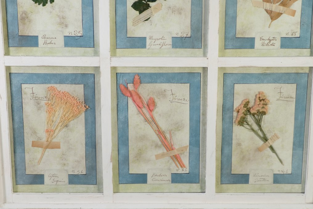 裝飾飾物 - 義大利 #4.3