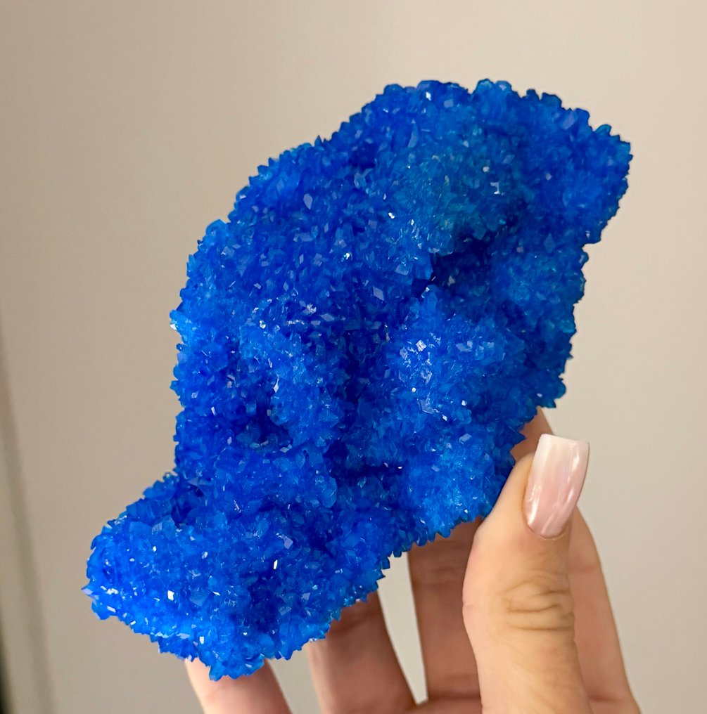 Fără rezervă! 285g uimitor cluster de cristal LAB de chalcantit albastru electric pe matrice. Cristal pe matrice - Înălțime: 14.2 cm - Lățime: 8.5 cm- 285 g #1.0