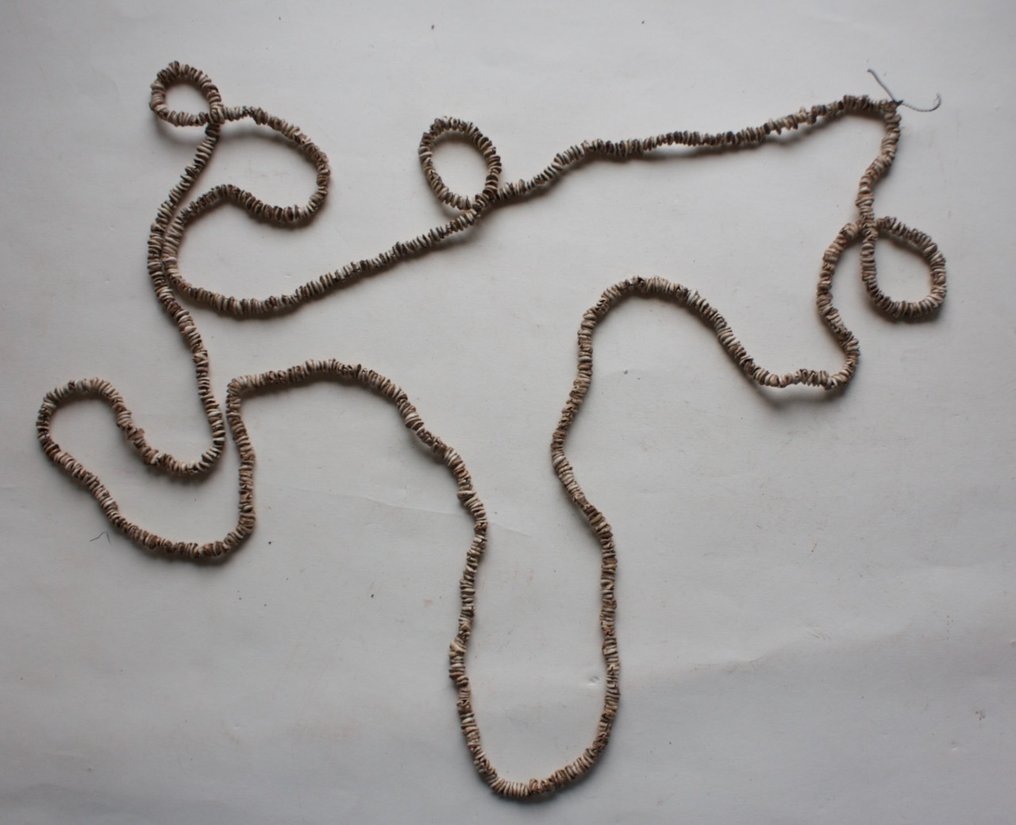 经典新娘价格项链，来自Kalabu II，Boiken。 - 巴布亚新几内亚  (没有保留价) #1.0