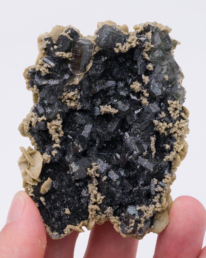 VERY RARE FLUORAPATITE crystals with TOURMALINE inclusions - Height: 7.5 cm - Width: 5.9 cm- 77 g - (1) #1.0