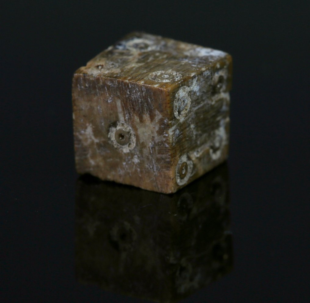 Roma Antiga Osso Dice  (Sem preço de reserva) #2.1