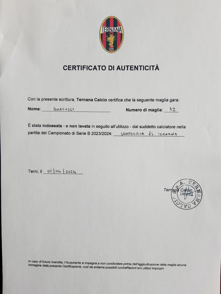 Ternana - Ιταλικό πρωτάθλημα Serie B - Amatucci - 2024 - Ποδοσφαιρική φανέλα #3.2