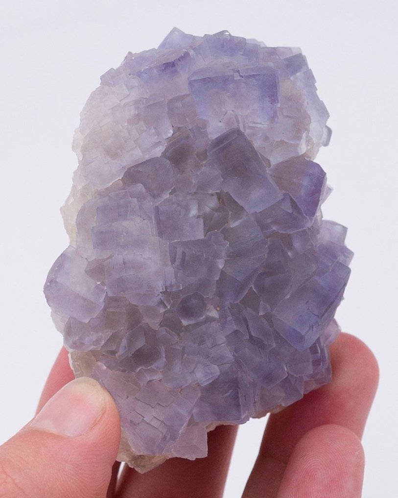 Kłębek niebieskiego fluorytu z charakterystycznym zaokrąglonym habit. - Wysokość: 4.7 cm - Szerokość: 6.6 cm- 119 g - (1) #4.3