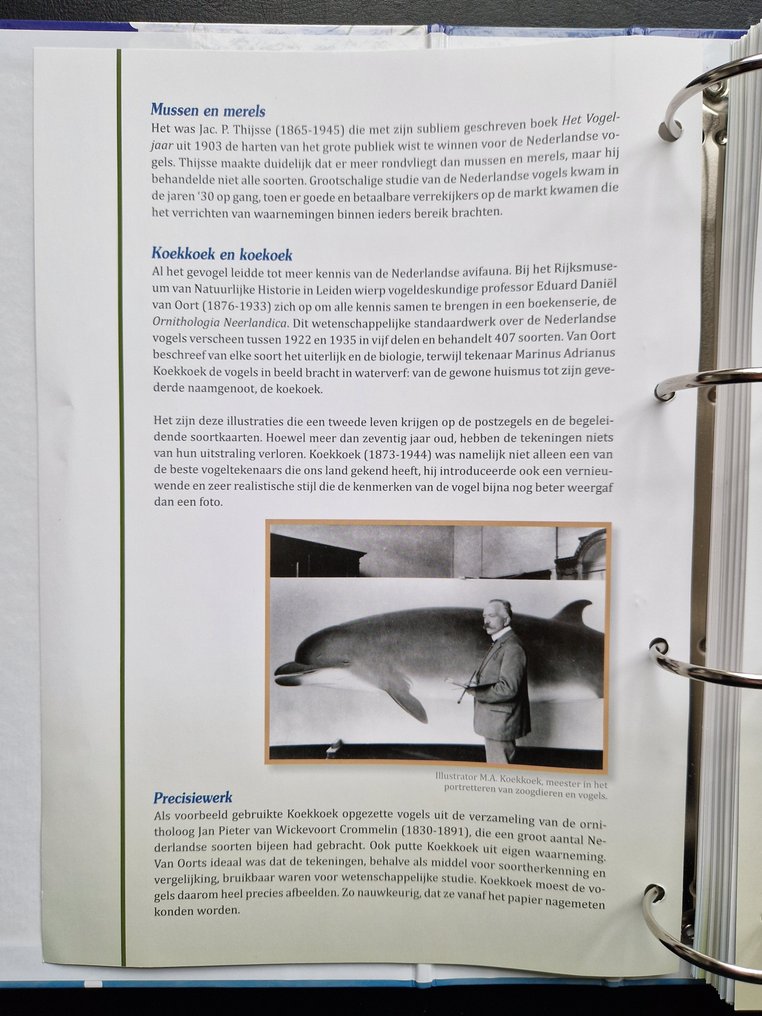 VOGELS 2012/2013 - 法兰克现金券 + 特别相册（几乎全新！）包含所有补充材料（空白）适用于74。 - NVPH #4.3