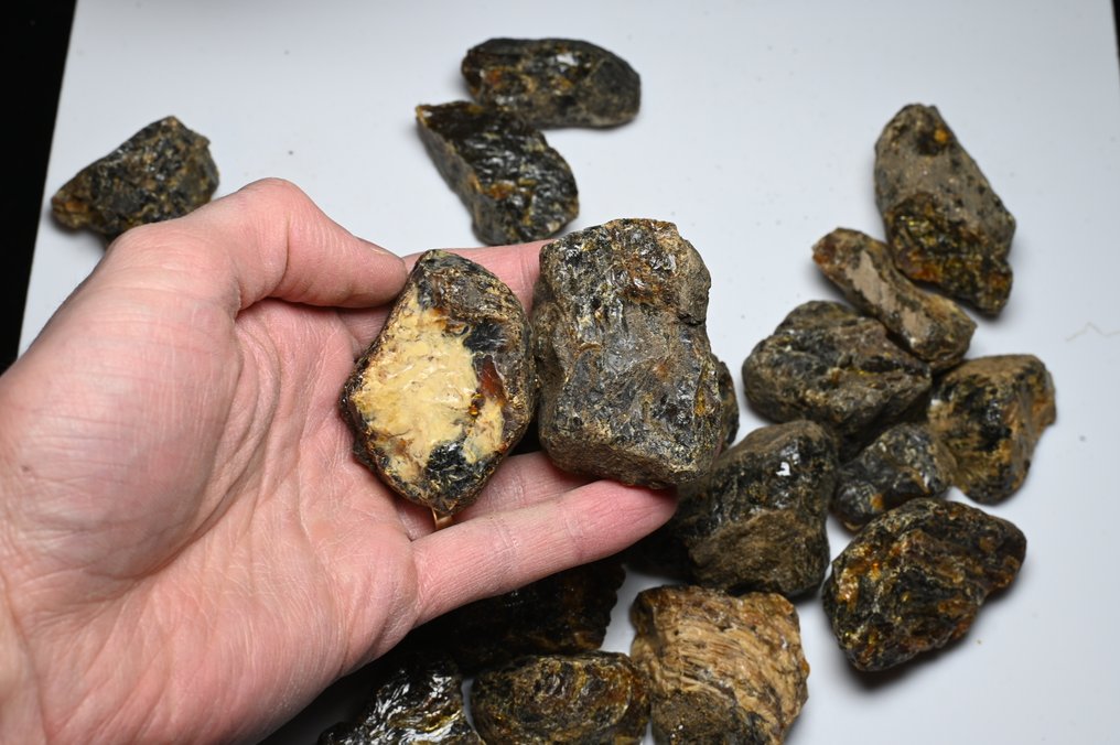 大量25块印尼（苏门答腊）原始琥珀，重527.55克 - 光滑化石  (没有保留价) #3.2