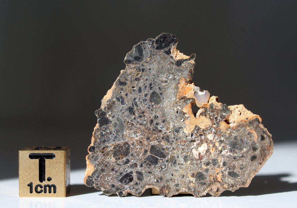 Een mooie tranche - zonder reserveprijs. NWA 17700 maanmeteoriet (troctoliet smeltbreccia) - 4.68 g - (1) #2.1