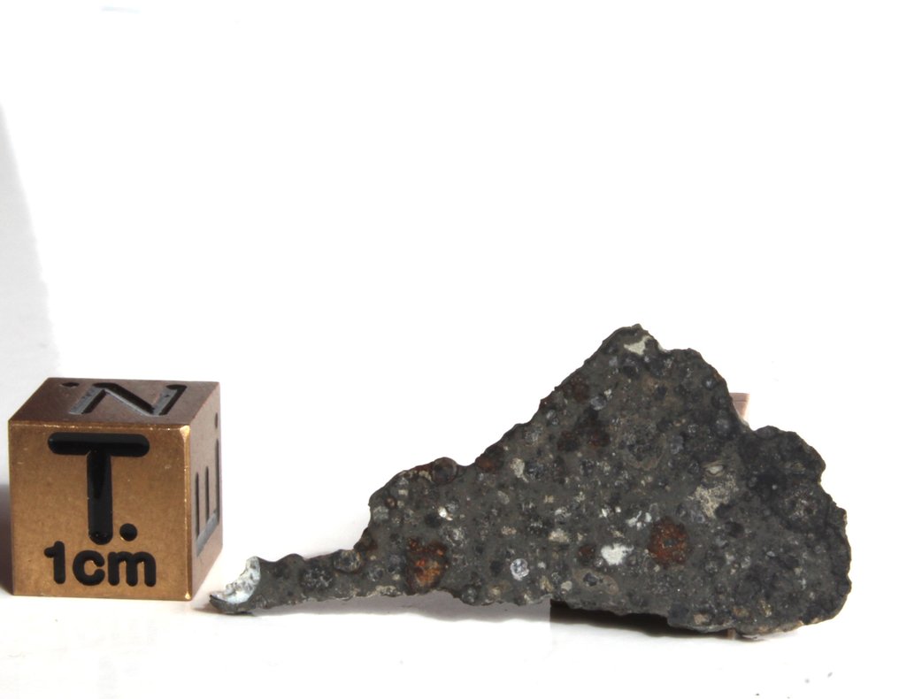Schnitt eines seltenen CV3 Like Allende NWA 16991. Kohlenstoffhaltiger Chondritmeteorit - 1.84 g - (1) #2.1