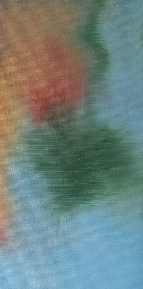 Guido Borelli - esacirT-Tricase #1.0