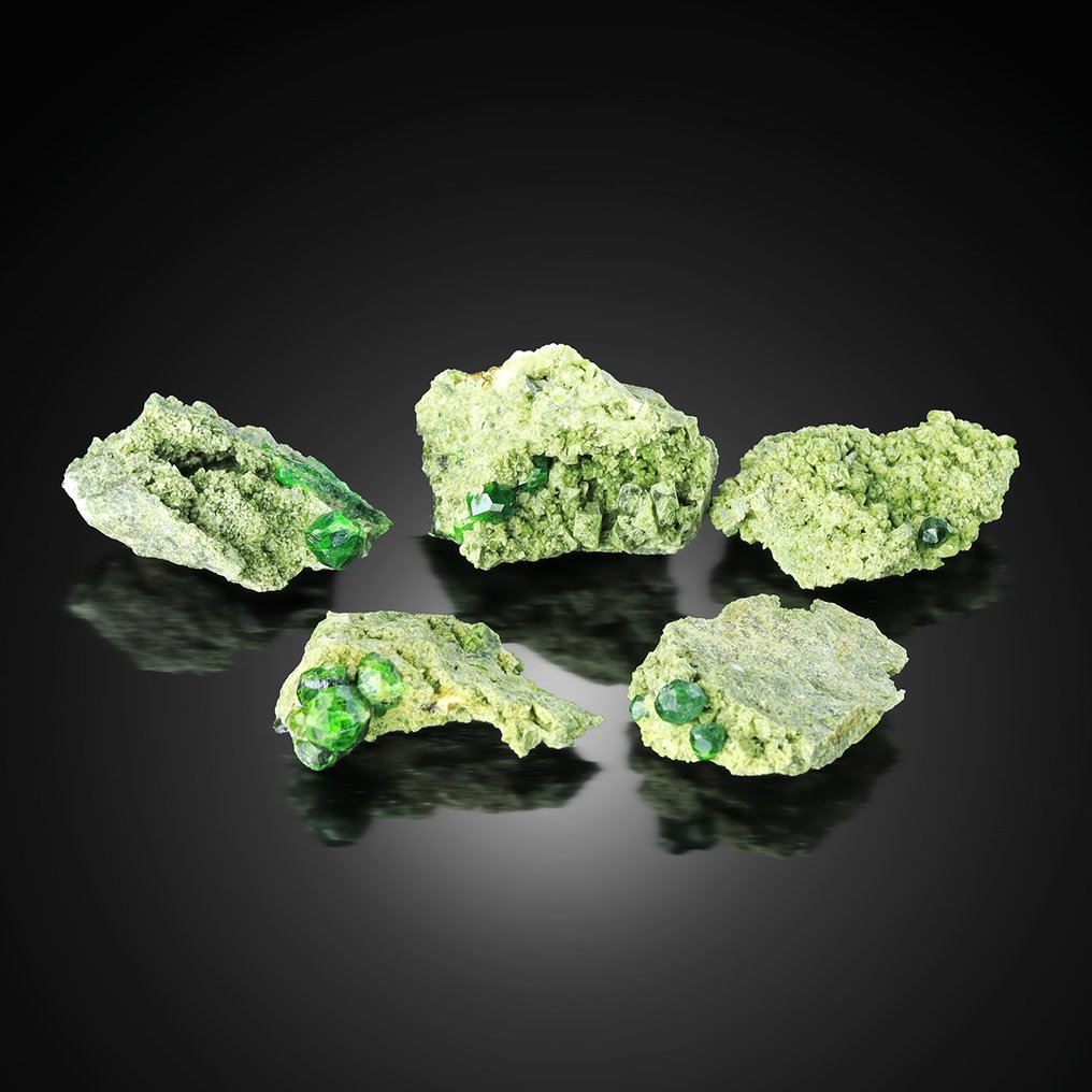 Ingen minstepris! Sett med 5 smaragrønne ANDRADITE-var DEMANTOID-granater fra Belqeys Mountain Krystaller i indlejring - Høyde: 3.5 cm - Bredde: 2.4 cm- 34 g #1.0