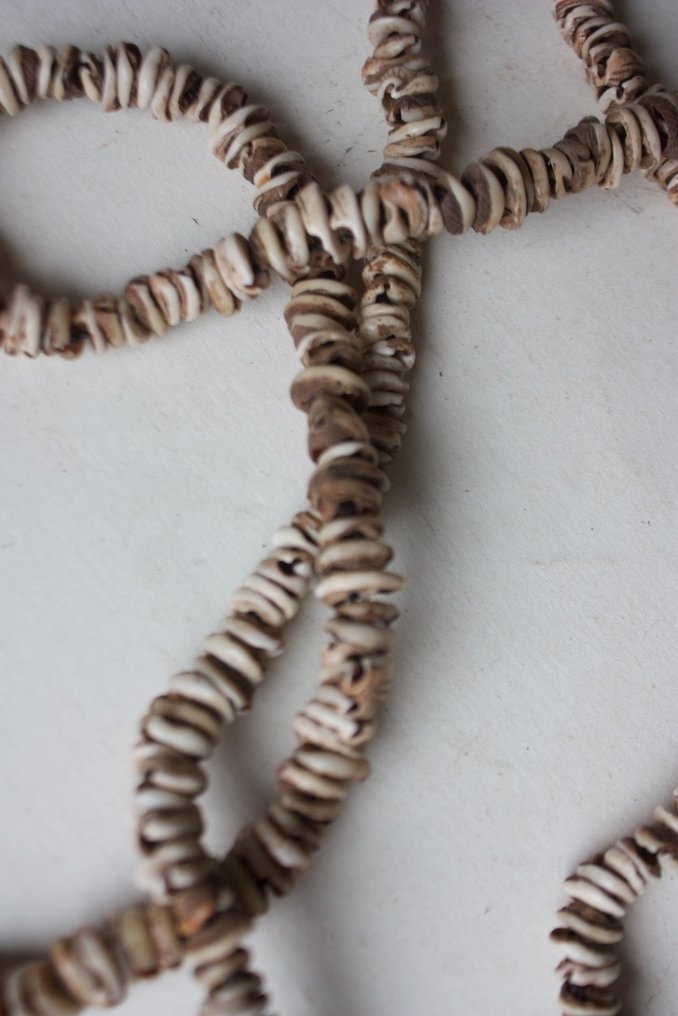 经典新娘价格项链，来自Kalabu II，Boiken。 - 巴布亚新几内亚  (没有保留价) #4.3