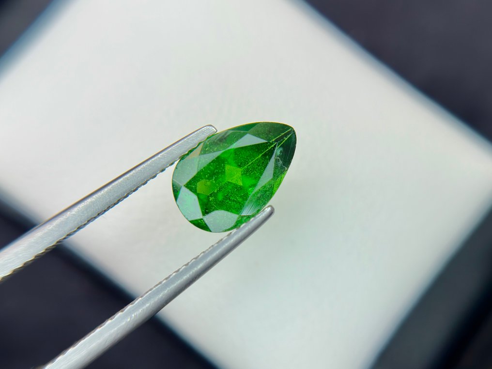 没有保留价 - 1 pcs  绿色 沙弗莱石  - 2.54 ct - 美国宝石研究院（GIA） - 天然的Tsavorite #4.3