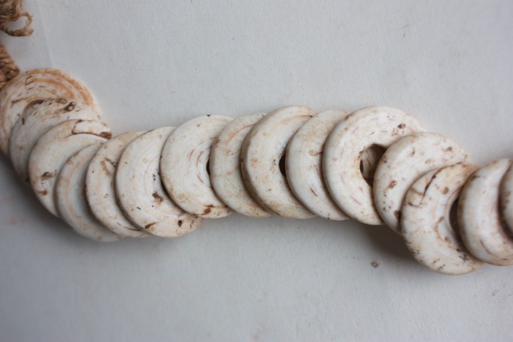 彩礼链 - 卡瓦利亚 - 萨索亚·博伊肯 - 亚历山大王子山脉 - 巴布亚新几内亚 (没有保留价) #3.2