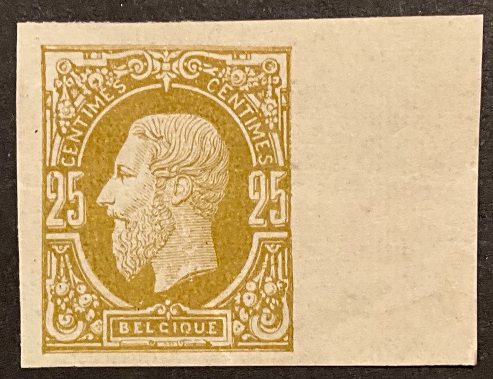 Belgia 1869/1883 - Leopold II 'Nowe Typy' - NIEUŻYTKOWANE - 25c Bisterolijf - OBP/COB 32ND met bladrand #2.1
