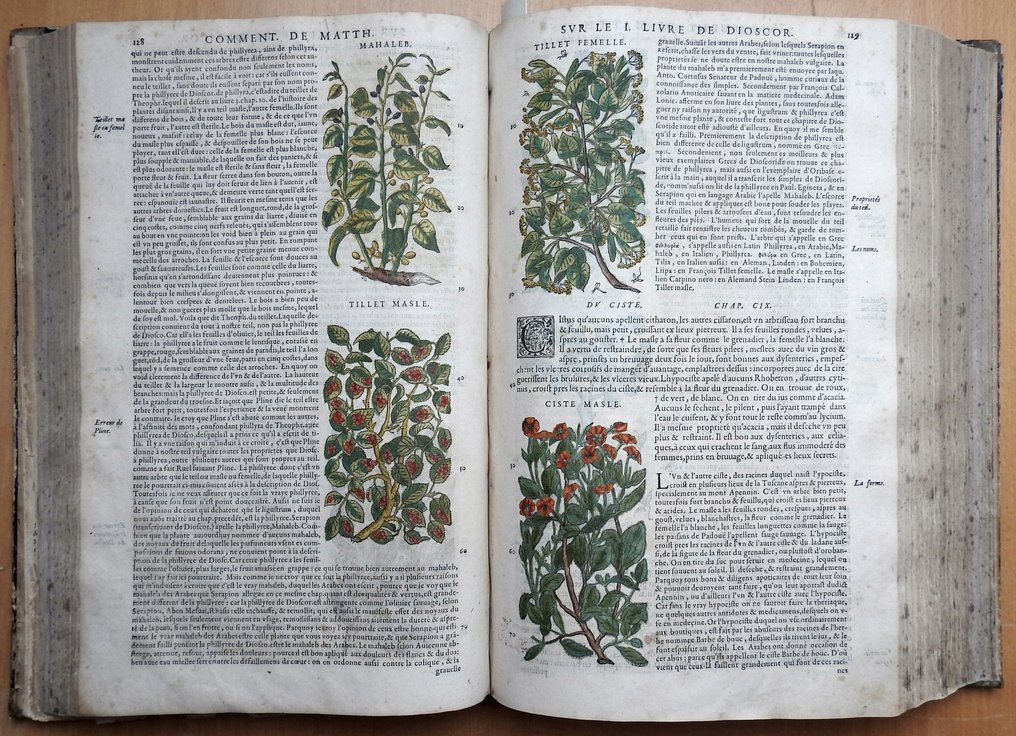 Petrus Andreas MATTIOLI - Commentaires-Gorgeous handcoloured herbal book - 1579 #2.1