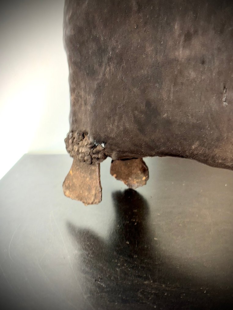 Cavalier Sao - Sao - Tsjaad (Zonder minimumprijs) #3.2