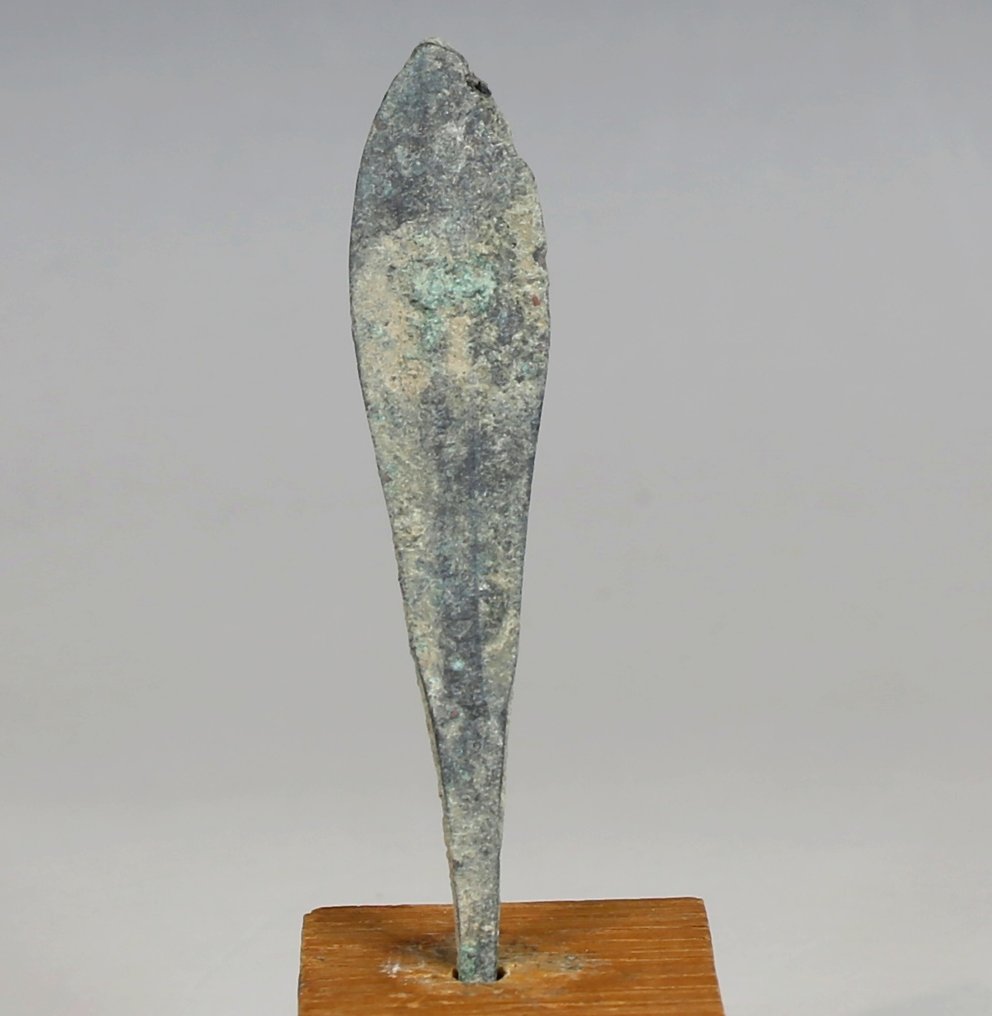 近东的 青銅色 Arrowhead (沒有保留價) #1.0