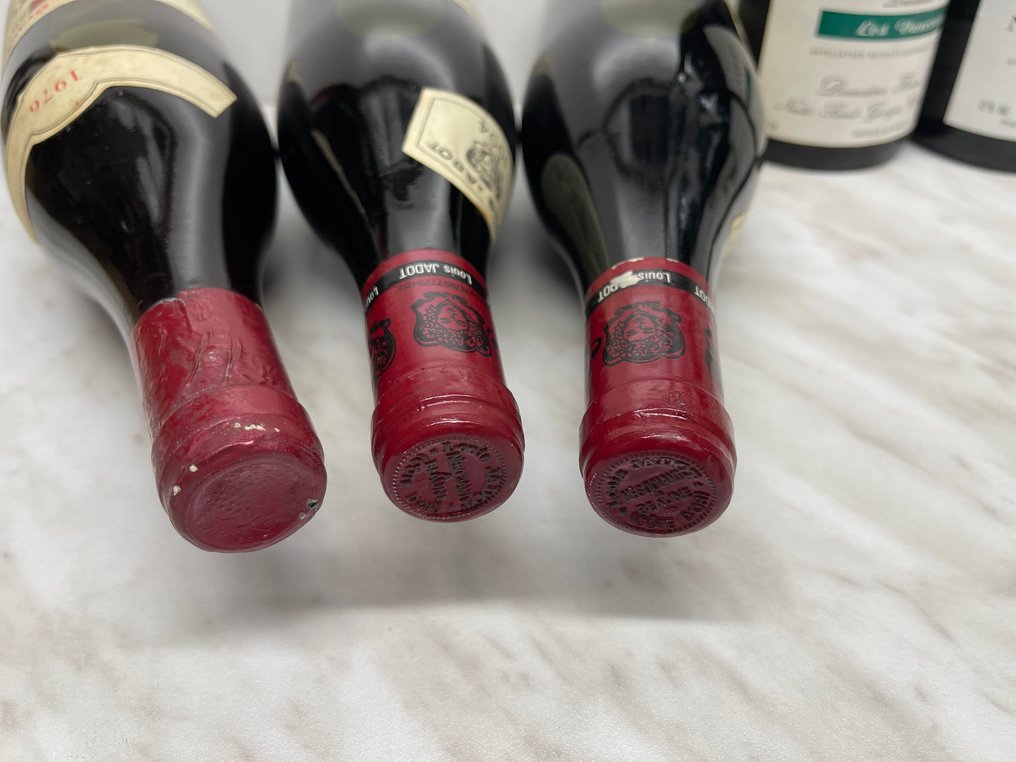 1976 Gevrey Chambertin, 1990, 1994 x 2, 1999 & 2005 Nuits Saint Georges - Burgundy 1er Cru - 6 Bottles (0.75L) #1.0