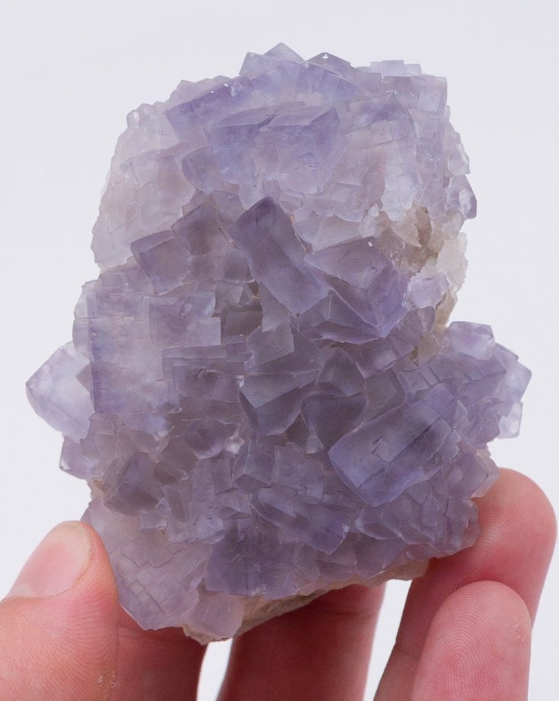 Kłębek niebieskiego fluorytu z charakterystycznym zaokrąglonym habit. - Wysokość: 4.7 cm - Szerokość: 6.6 cm- 119 g - (1) #1.0