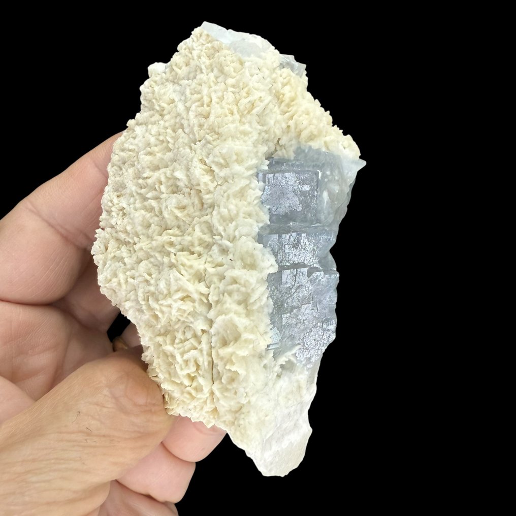 Φθορίτης Δολίτης Μπλε κρύσταλλα έως 3 εκ. - Ύψος: 10 cm - Πλάτος: 4 cm- 300 g #3.2