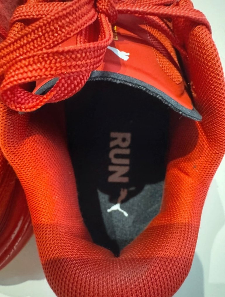 Ferrari - Formel 1 - 2024 - Teamkleidung #1.0