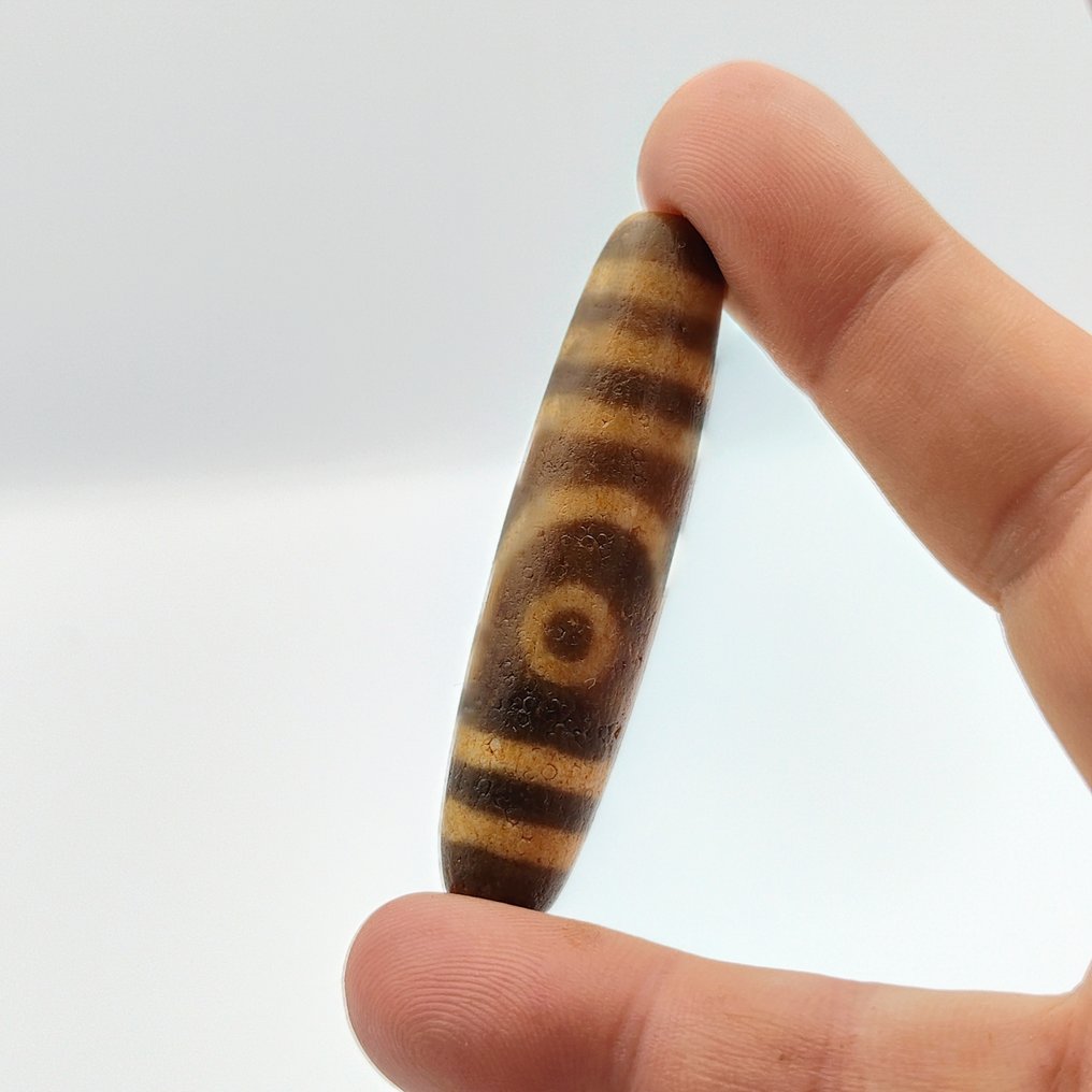 古缅甸，晚期Pyu国家 蚀刻的化石化棕榈木 具有特殊设计的珠子护身符 - 57 mm  (没有保留价) #1.0