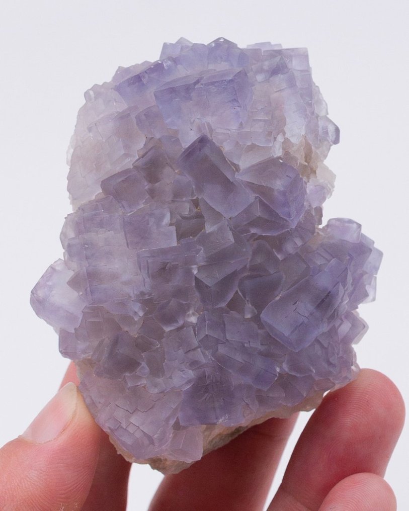 Kłębek niebieskiego fluorytu z charakterystycznym zaokrąglonym habit. - Wysokość: 4.7 cm - Szerokość: 6.6 cm- 119 g - (1) #1.0