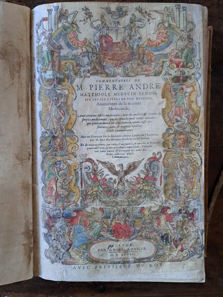 Petrus Andreas MATTIOLI - Commentaires-Gorgeous handcoloured herbal book - 1579 #1.0