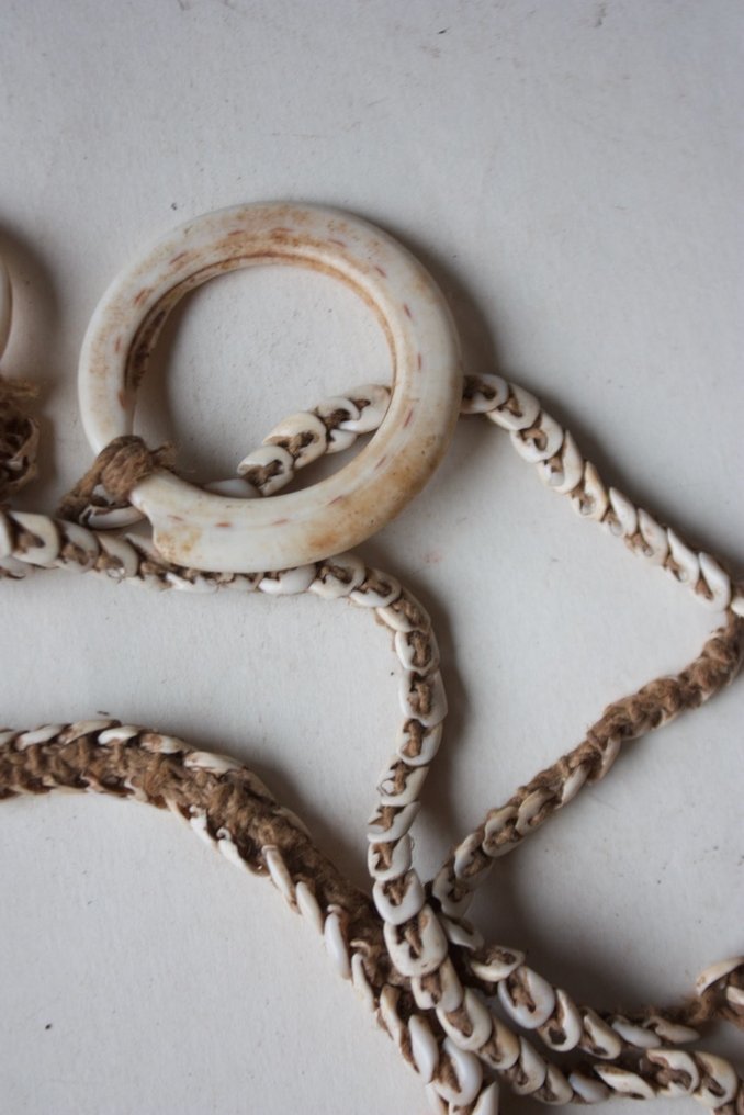 Halskæde der Boiken i Prins-Alexander-bjergene - Papua Ny Guinea (Ingen mindstepris) #4.3