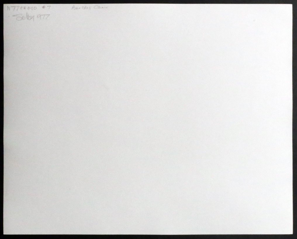 Richard Selby - Barber's Chair #23 - vintage print 1977 #2.1