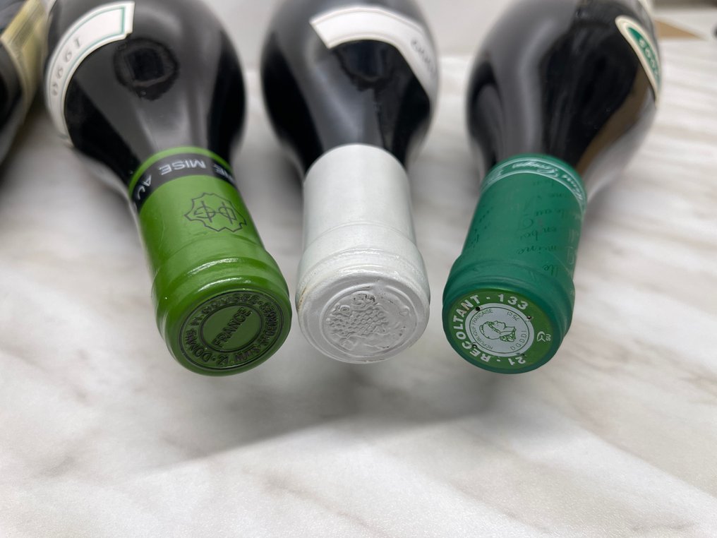 1976 Gevrey Chambertin, 1990, 1994 x 2, 1999 & 2005 Nuits Saint Georges - Burgundy 1er Cru - 6 Bottles (0.75L) #2.1