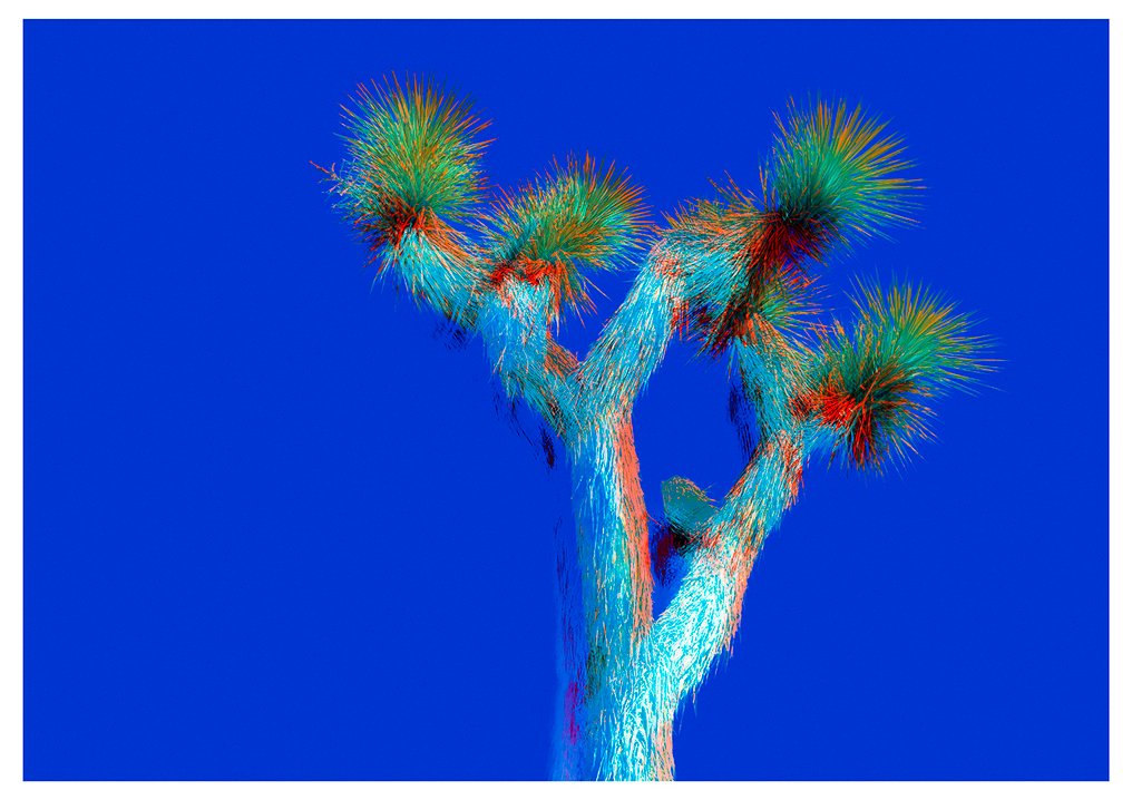 Roberto Cavalli - Visioni americane / #832 #2.1