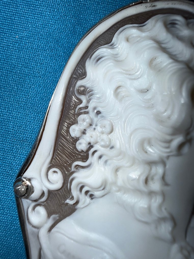 Ei pohjahintaa - Kameekoru Hopea - Sardonyx Shell. 60 mm. #4.3