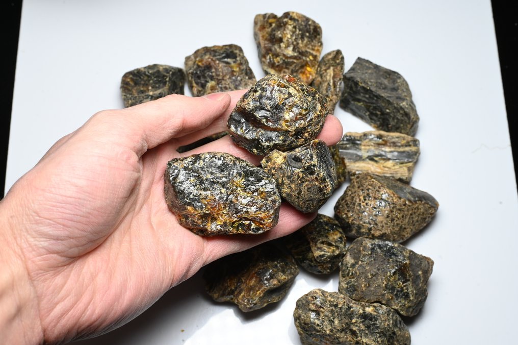 大量20块印尼（苏门答腊）粗琥珀，重474.79克 - 圓形寶石化石  (沒有保留價) #1.0